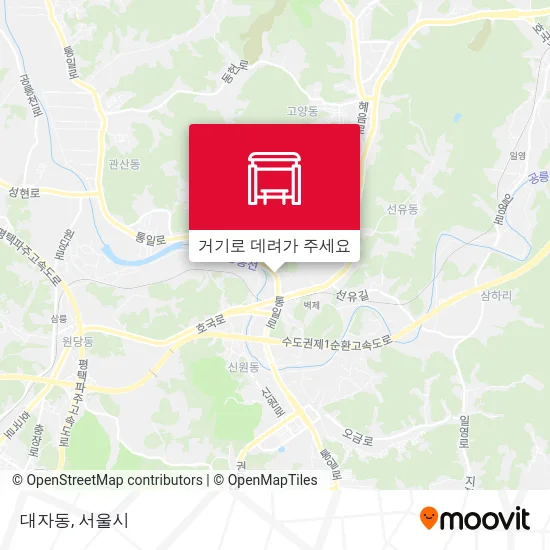 대자동 지도