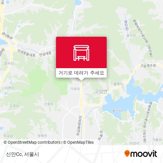 신안Cc 지도