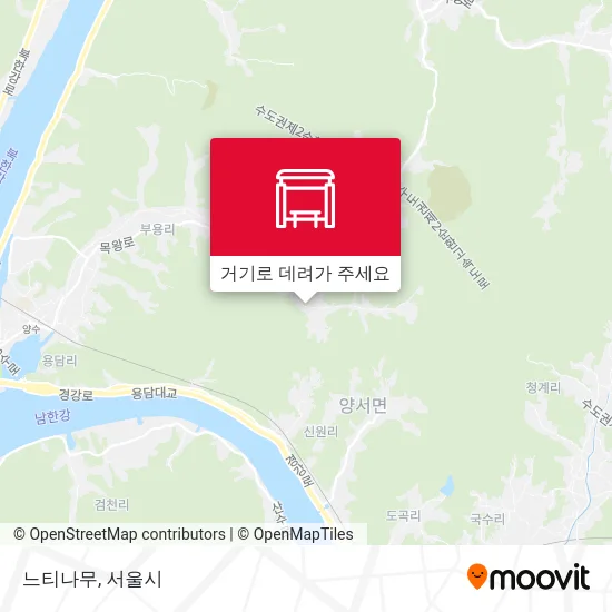 느티나무 지도