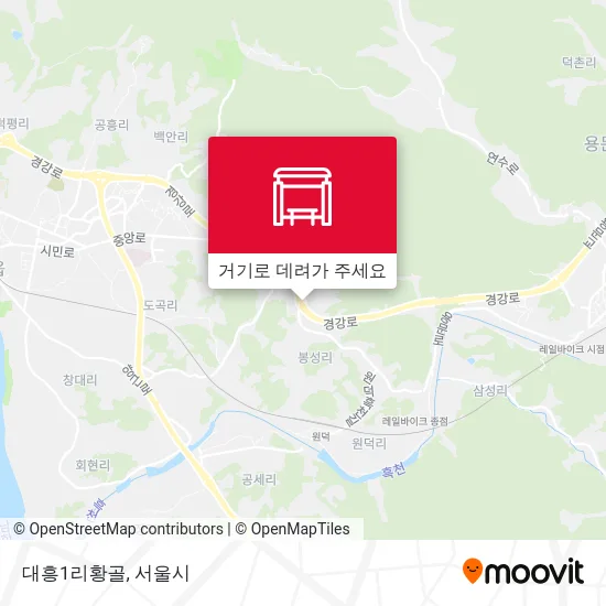 대흥1리황골 지도