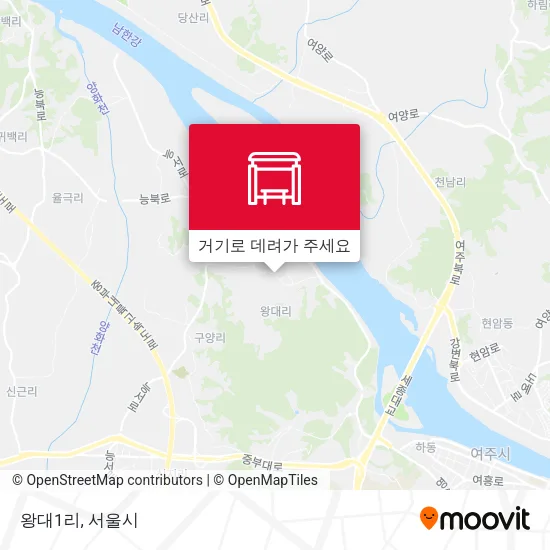 왕대1리 지도