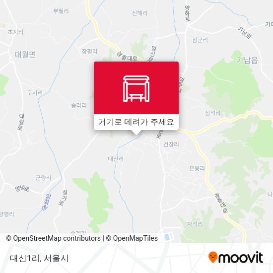 대신1리 지도