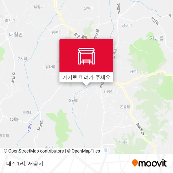대신1리 지도