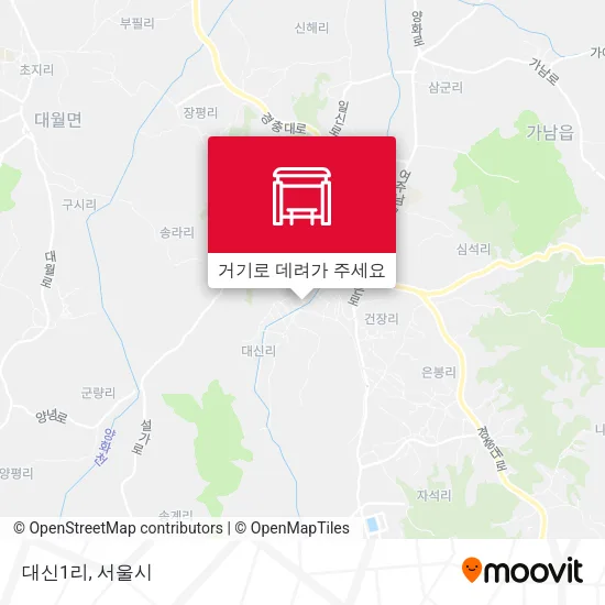 대신1리 지도