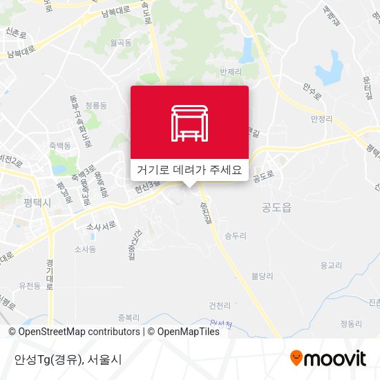 안성Tg(경유) 지도