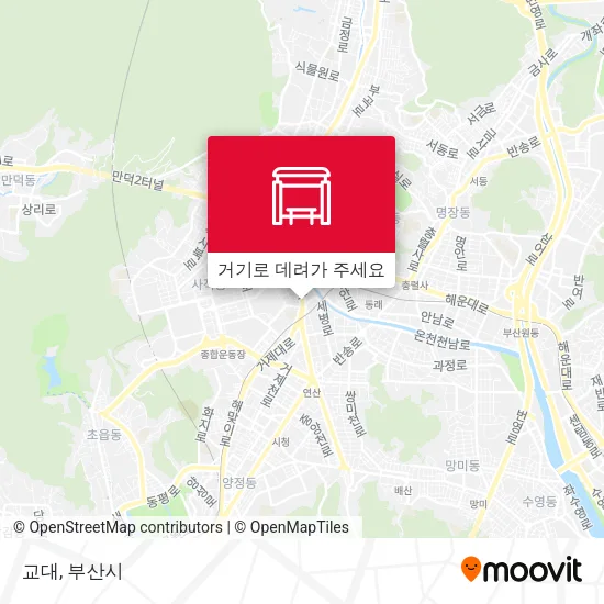 교대 지도