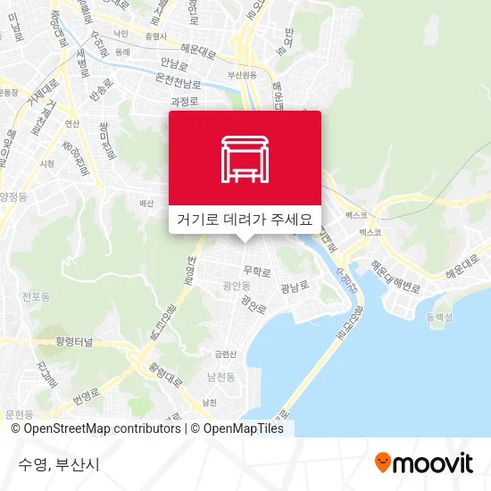 수영 지도