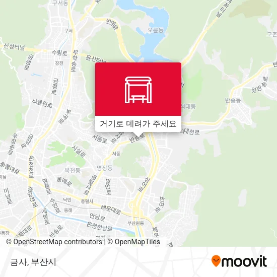 금사 지도
