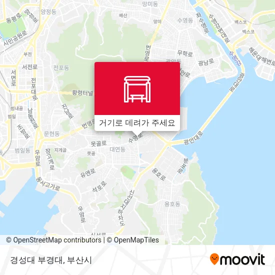 경성대 부경대 지도