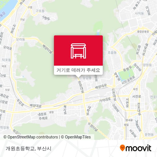 개원초등학교 지도