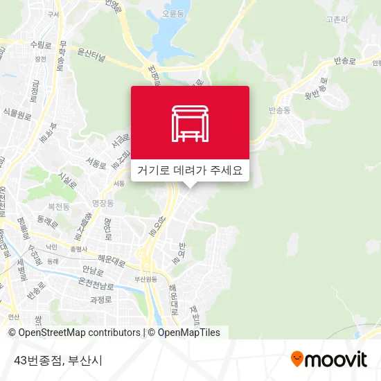 43번종점 지도