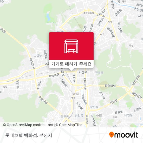 롯데호텔 백화점 지도