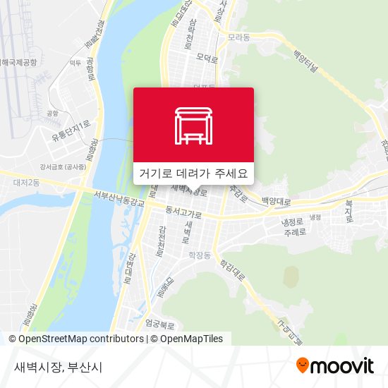 새벽시장 지도