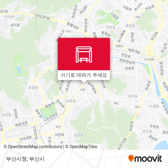 부산시청 지도