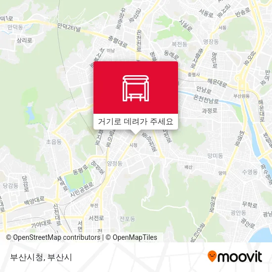부산시청 지도