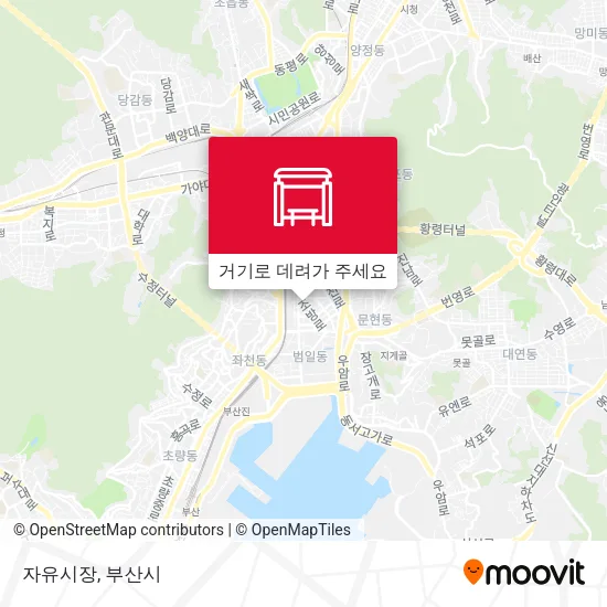 자유시장 지도
