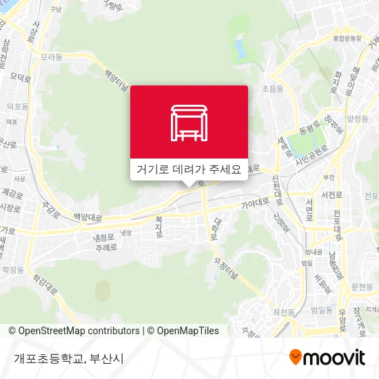 개포초등학교 지도