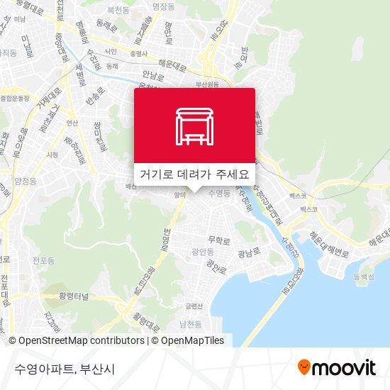 수영아파트 지도