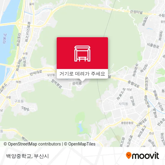 백양중학교 지도