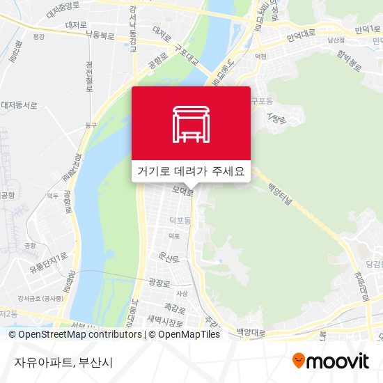 자유아파트 지도