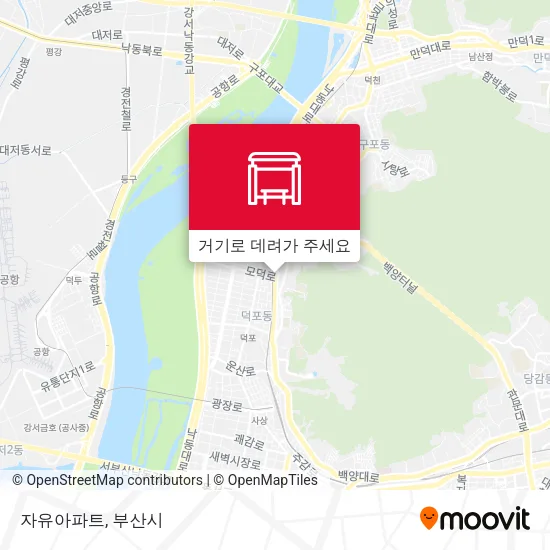 자유아파트 지도