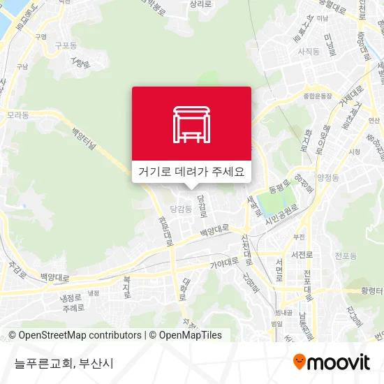 늘푸른교회 지도