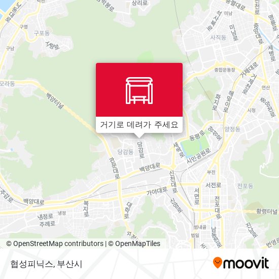 협성피닉스 지도