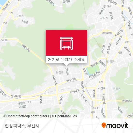 협성피닉스 지도