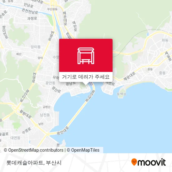 롯데캐슬아파트 지도
