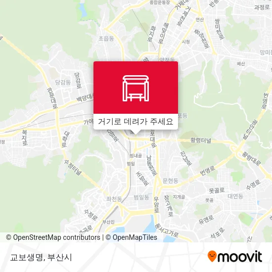 교보생명 지도