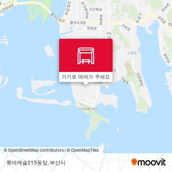 롯데캐슬215동앞 지도