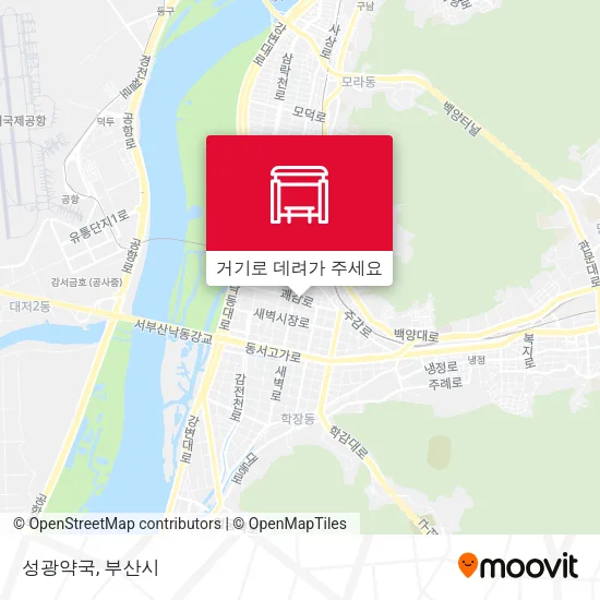 성광약국 지도