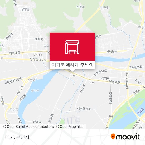 대사 지도