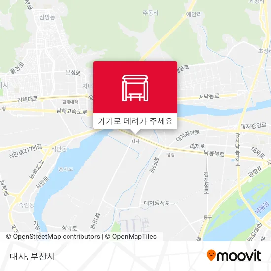 대사 지도