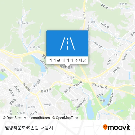 웰빙타운로49번길 지도