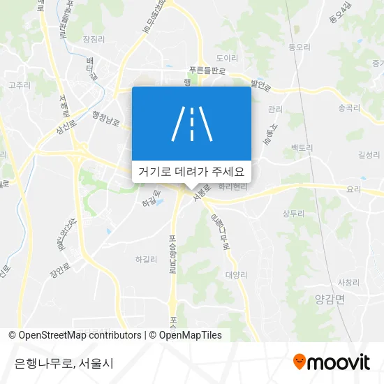 은행나무로 지도