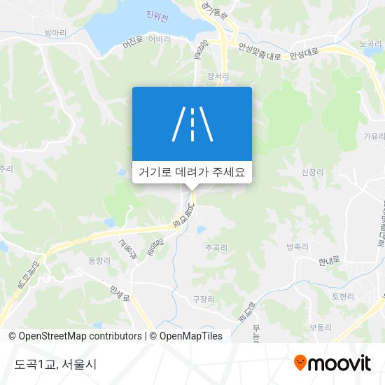 도곡1교 지도
