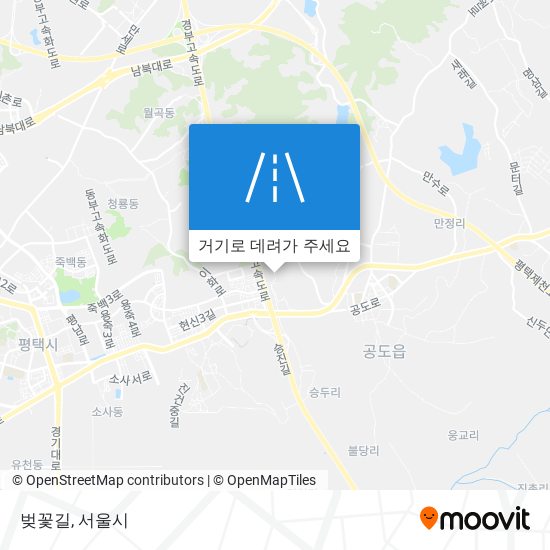 벚꽃길 지도