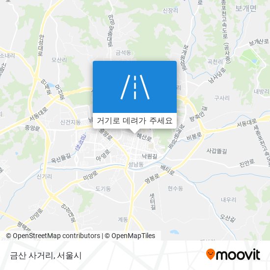 금산 사거리 지도