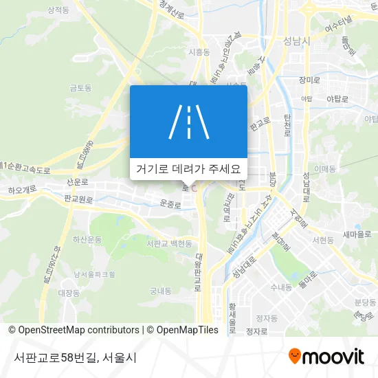 서판교로58번길 지도