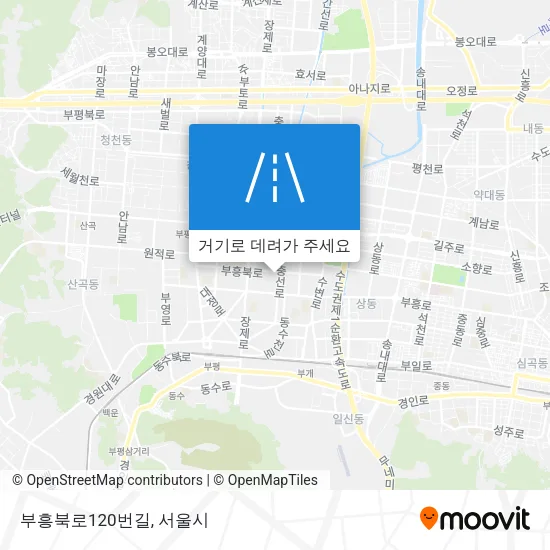 부흥북로120번길 지도