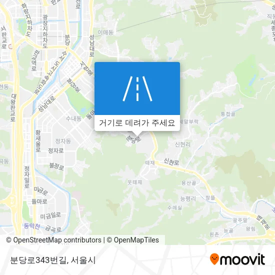 분당로343번길 지도