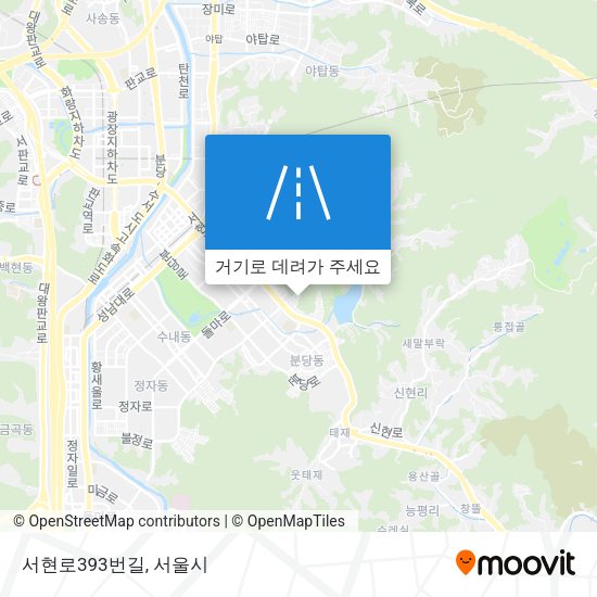 서현로393번길 지도