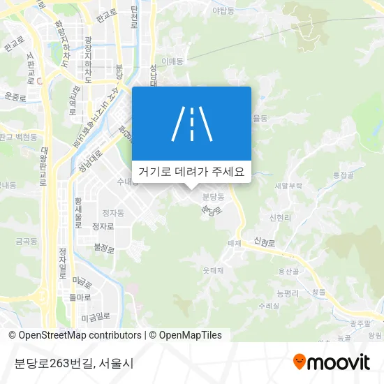 분당로263번길 지도