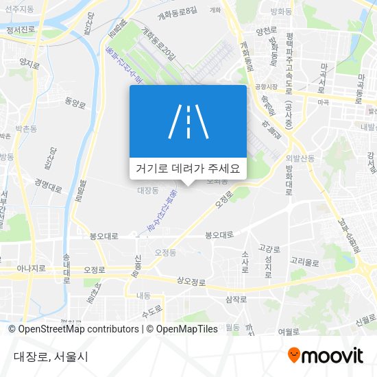 대장로 지도
