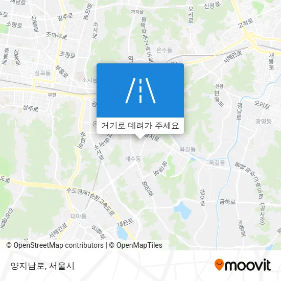 양지남로 지도