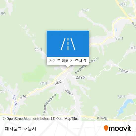 대하품교 지도