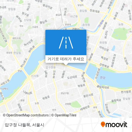 압구정 나들목 지도