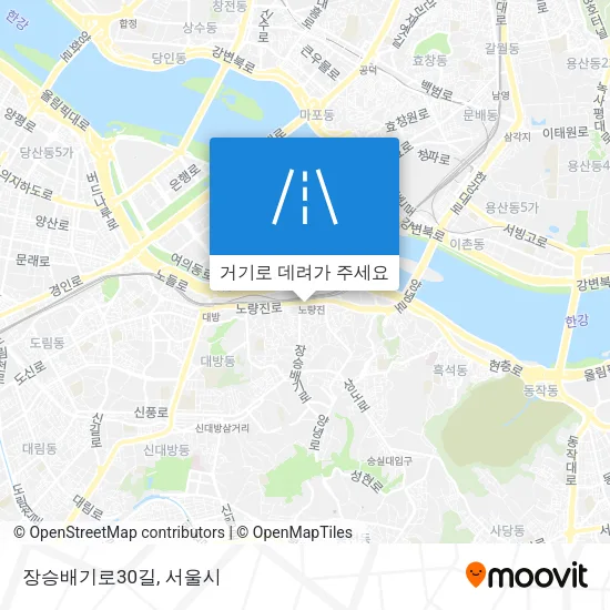 장승배기로30길 지도