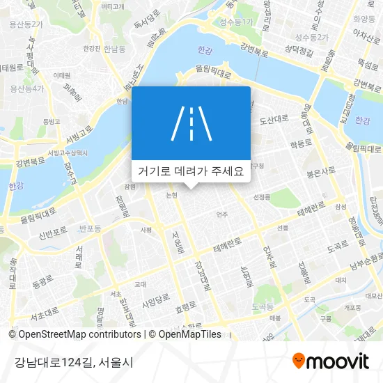 강남대로124길 지도